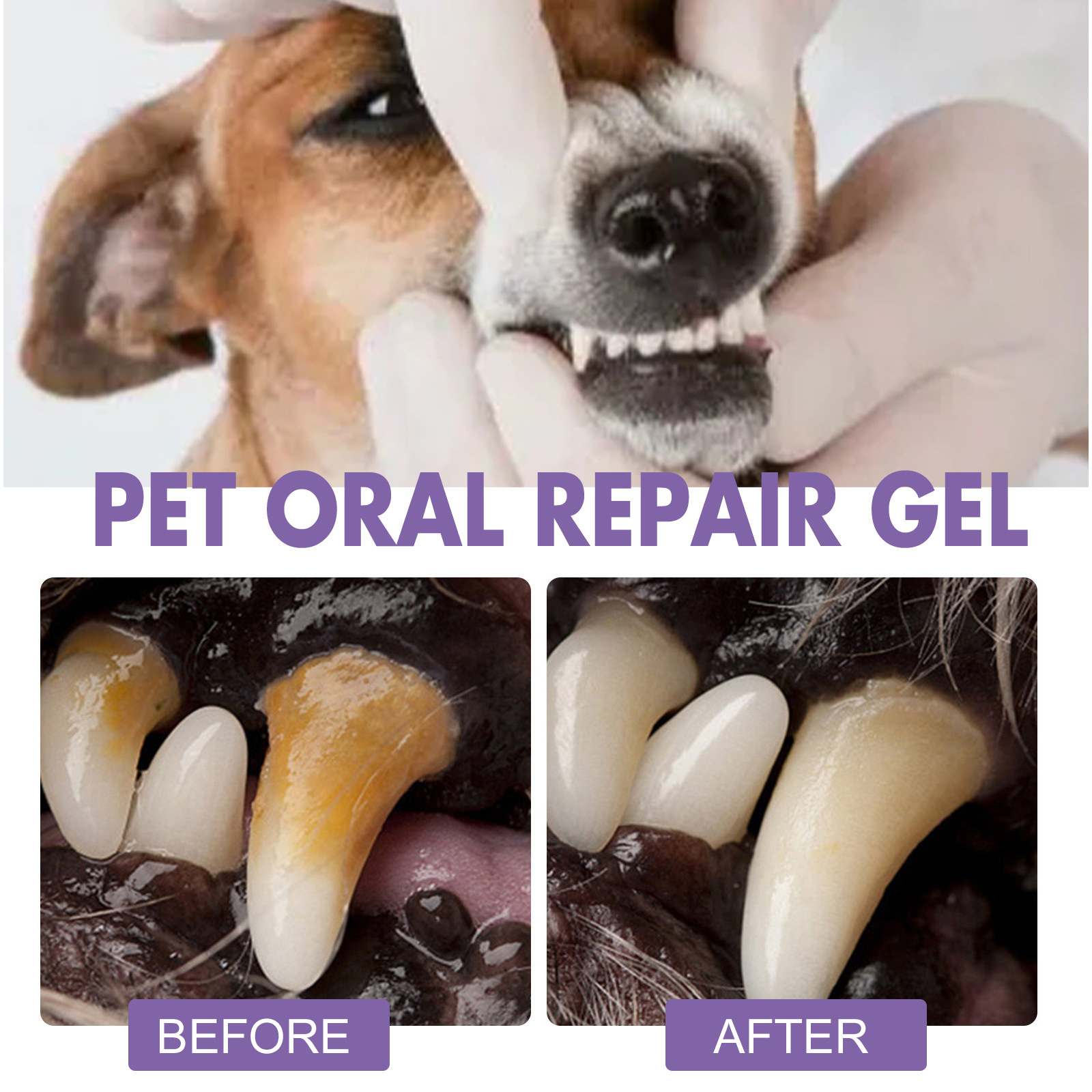 Pet Oral Repair Gel Puppy Tart - Teeth Whitening Price review and price